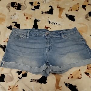 a.n.a Light Blue Cuffed Denim Jean Shorts Womans 16